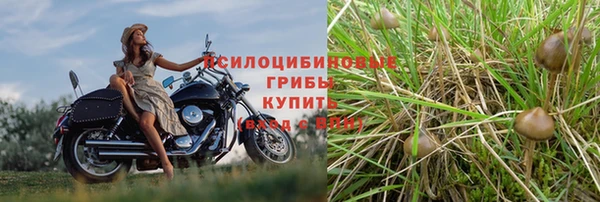 ALPHA-PVP Приозерск